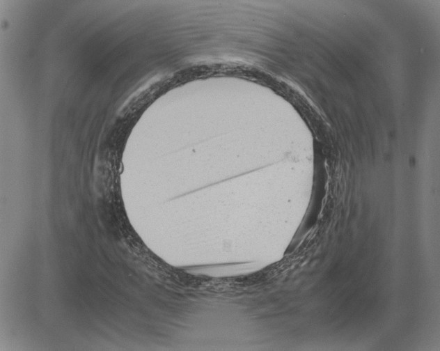 X0000080120967200701051350