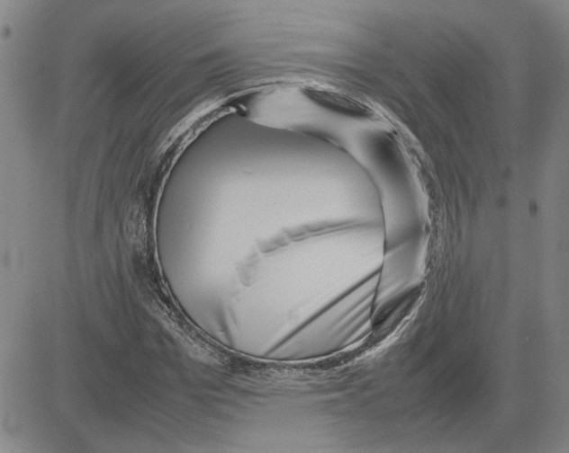 X0000080120969200701051350