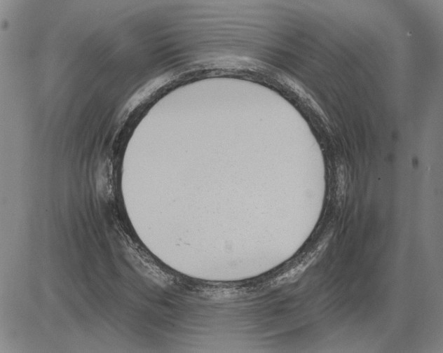 X0000080120970200701051350