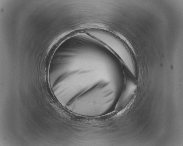 X0000080120973200701051350