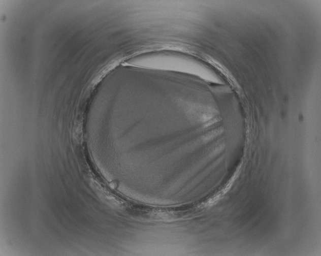 X0000080120977200701051350