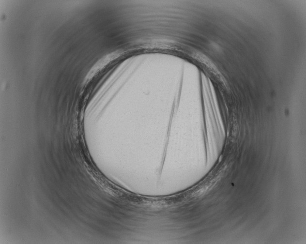 X0000080120978200701051350