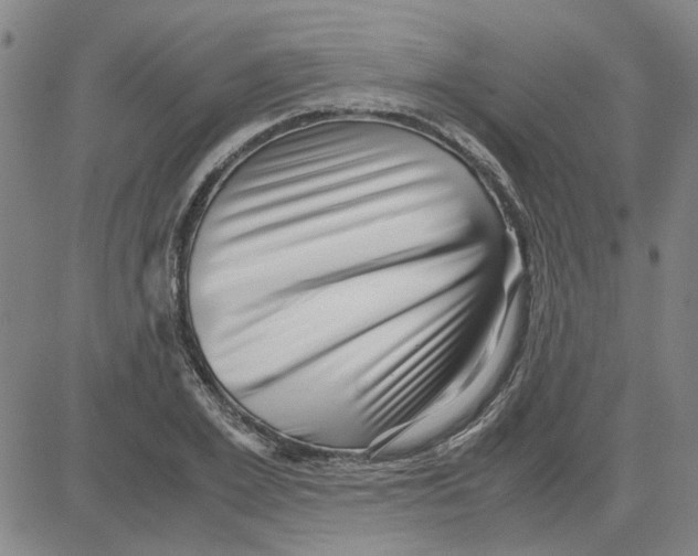 X0000080120981200701051350