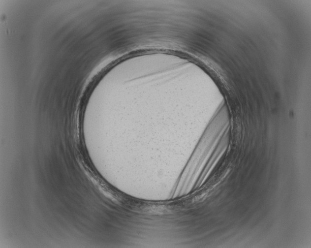 X0000080120982200701051350