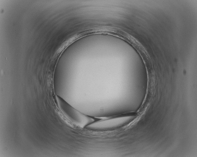 X0000080120985200701051350