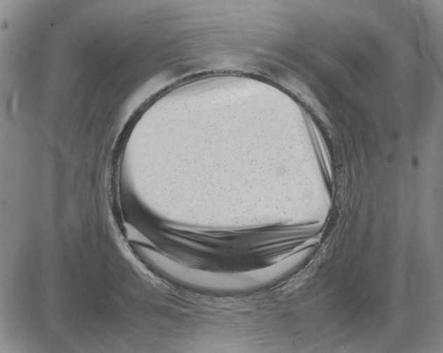 X0000080120991200701051350