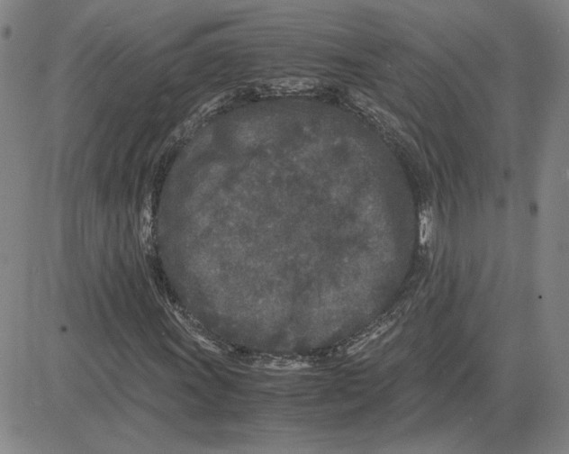 X0000080121011200701051349