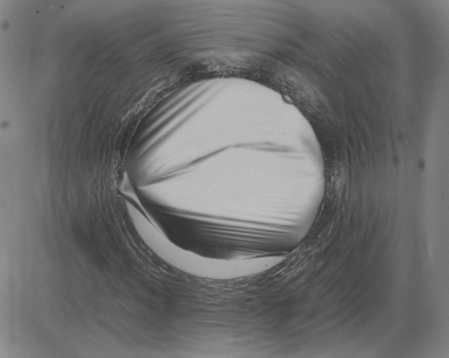 X0000080121012200701051349