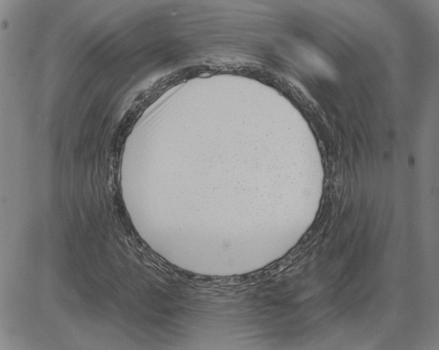 X0000080121016200701051349