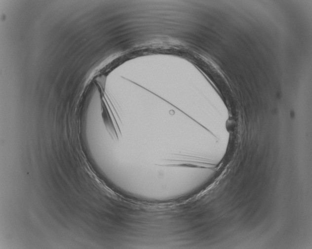 X0000080121018200701051349