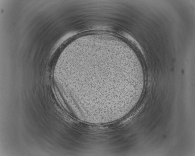 X0000080121019200701051349