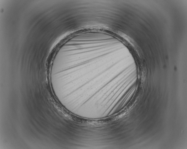 X0000080121022200701051349