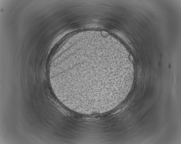 X0000080121023200701051349