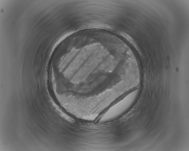 X0000080121024200701051349