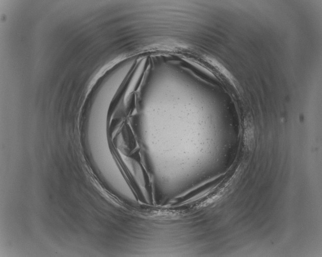 X0000080121026200701051349