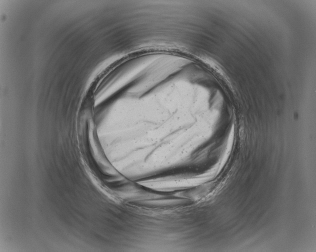 X0000080121030200701051349