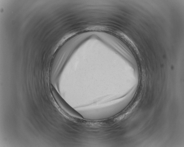 X0000080121041200701051349