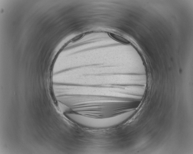 X0000080121048200701051349