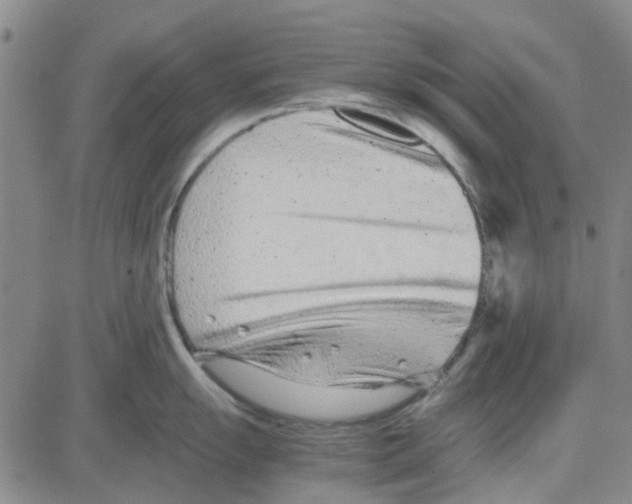 X0000080121055200701051349