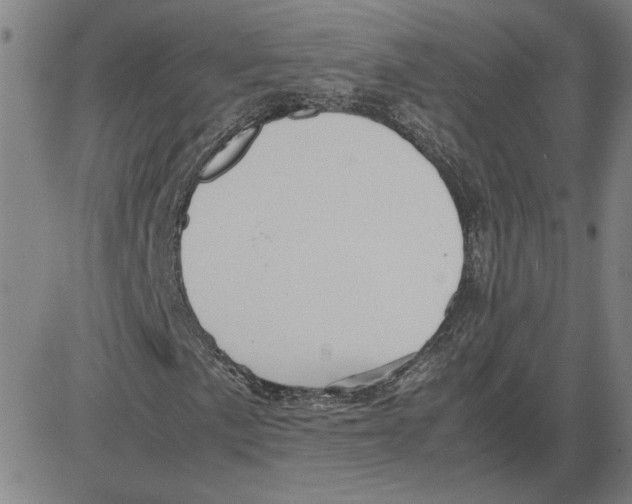 X0000080121057200701051349