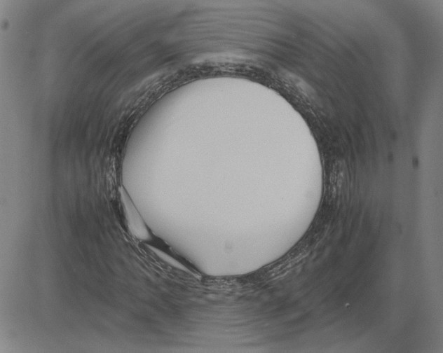 X0000080121062200701051349