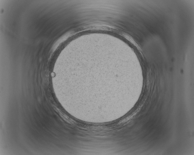 X0000080121067200701051349