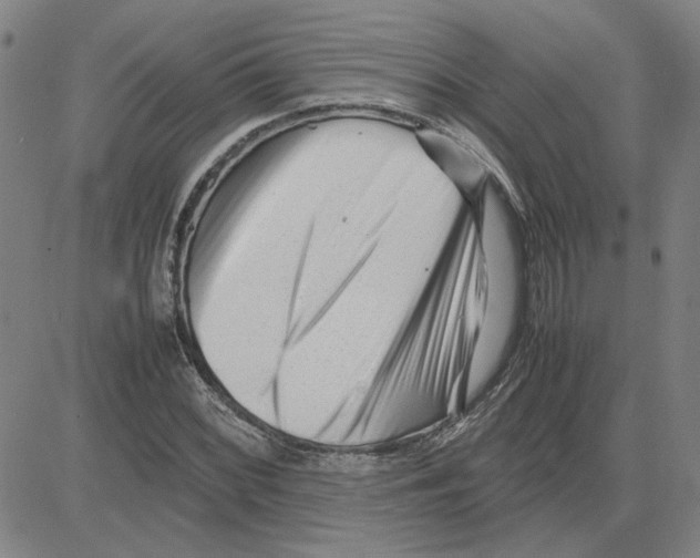 X0000080121068200701051349