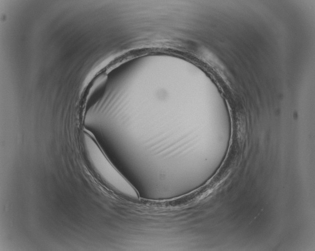 X0000080121069200701051349