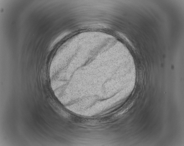 X0000080121071200701051349