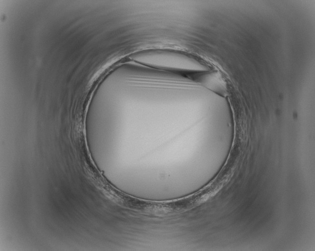 X0000080121073200701051348