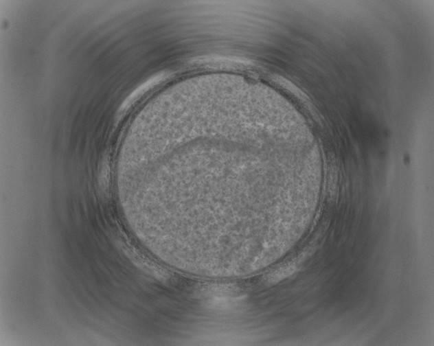 X0000080121074200701051348