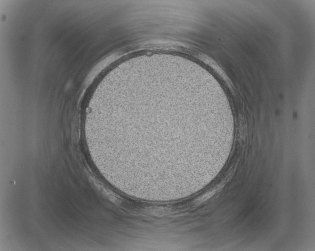 X0000080121075200701051348