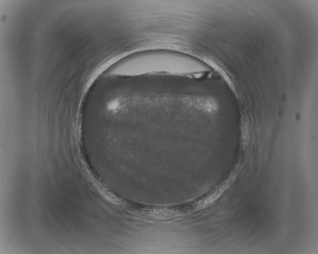 X0000080121077200701051348