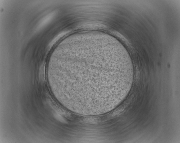 X0000080121078200701051348