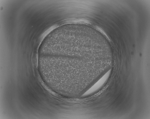 X0000080121079200701051348
