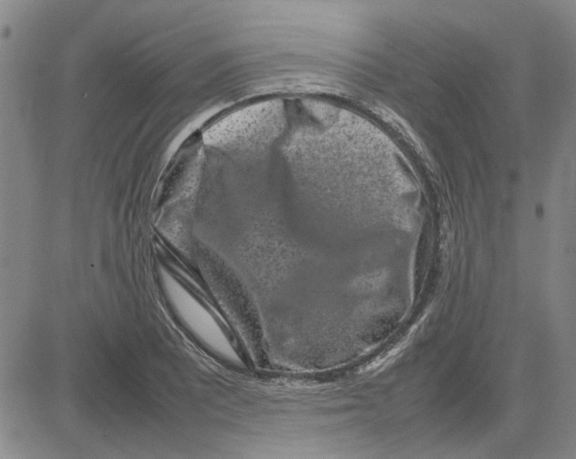 X0000080121081200701051348
