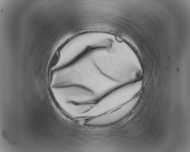 X0000080121087200701051348