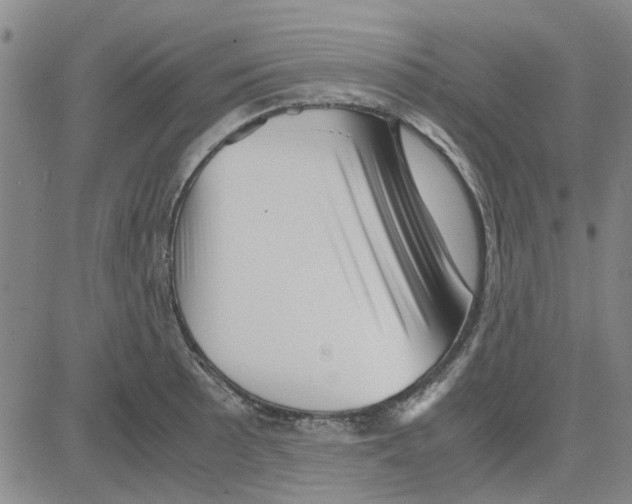 X0000080121089200701051348