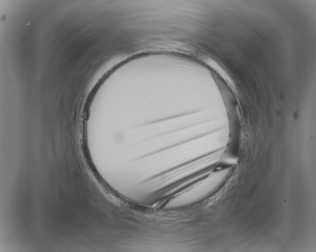 X0000080121093200701051348