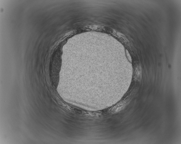 X0000080121105200701051347