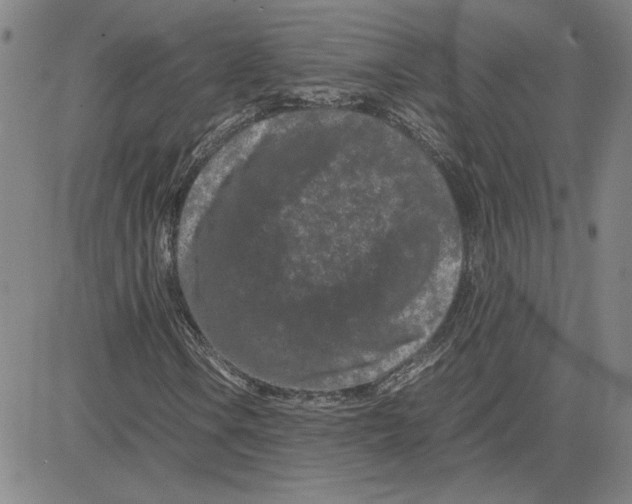 X0000080121106200701051347
