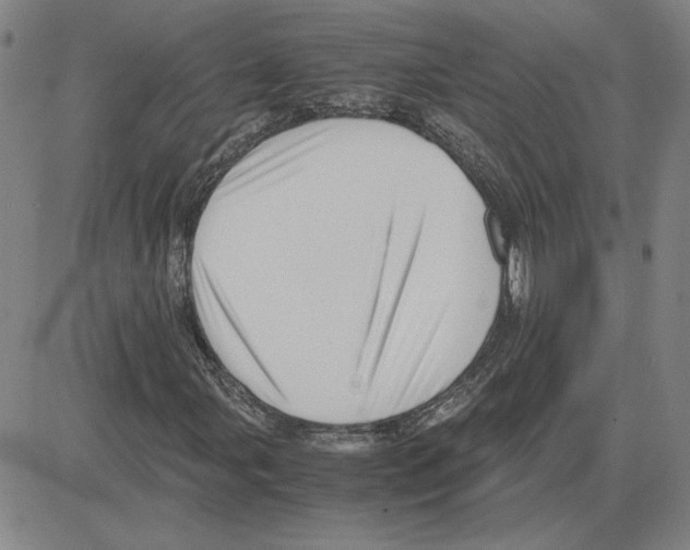 X0000080121107200701051347