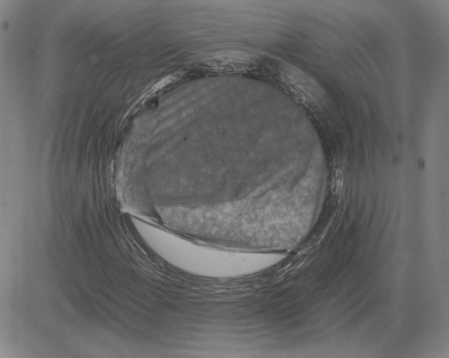 X0000080121108200701051347
