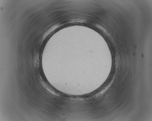 X0000080121113200701051347
