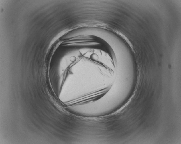 X0000080121114200701051347