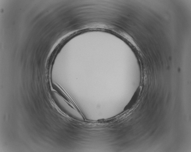 X0000080121116200701051347