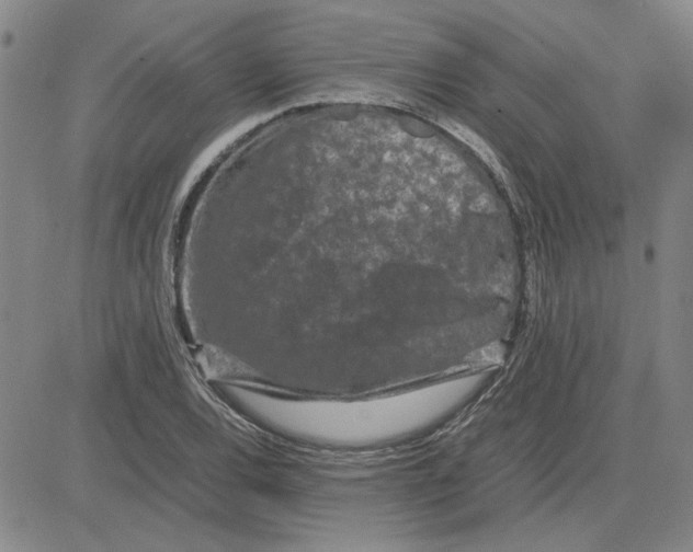 X0000080121120200701051347
