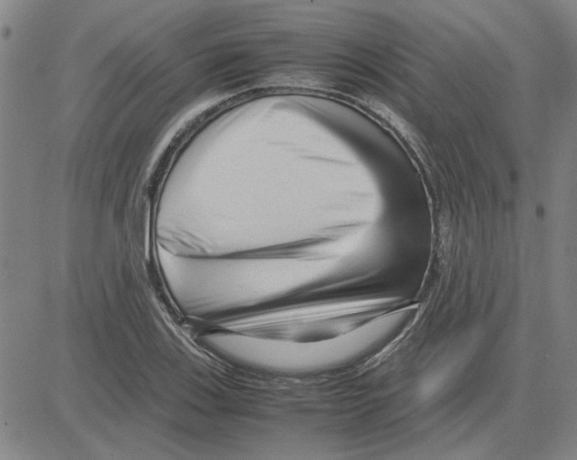 X0000080121123200701051347