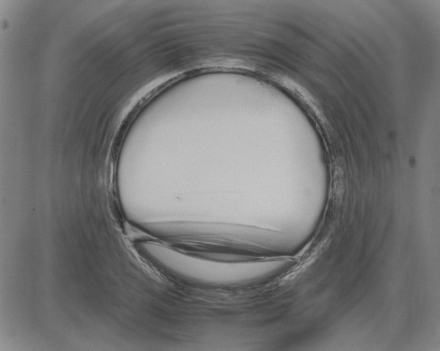 X0000080121125200701051348