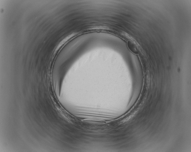 X0000080121129200701051348